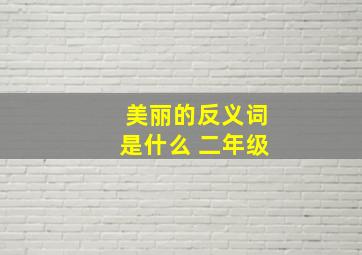 美丽的反义词是什么 二年级